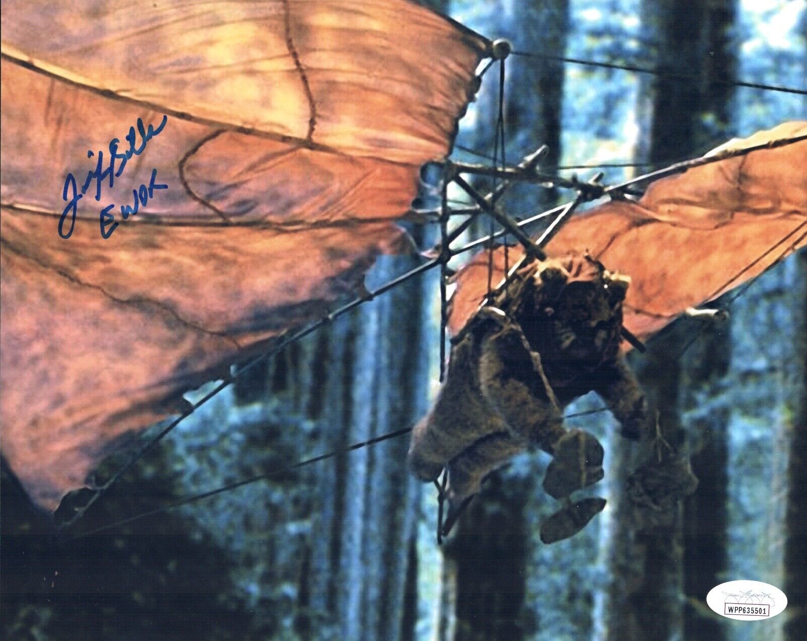 FELIX SILLA Signed 8x10 STAR WARS EWOK Photo Poster painting IN PERSON Autograph JSA COA WPP