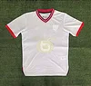 2024/2025 Lille LOSC 80th Anniversary Edition Football Shirt 1:1 Thai Quality