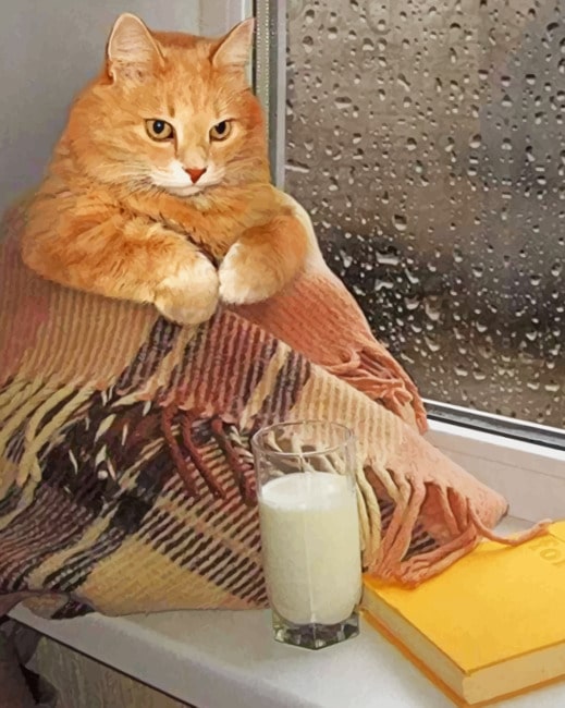 

Cat Drinking Hot Coffee – Paint By Numbers - 40*50CM, 501 Original