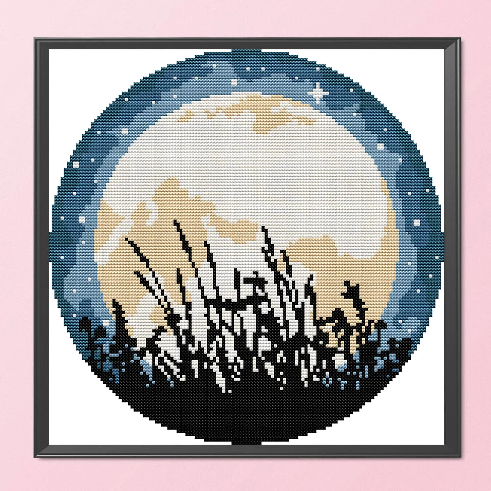 14CT Partial Printed Cross Stitch - Moon(31*31cm)