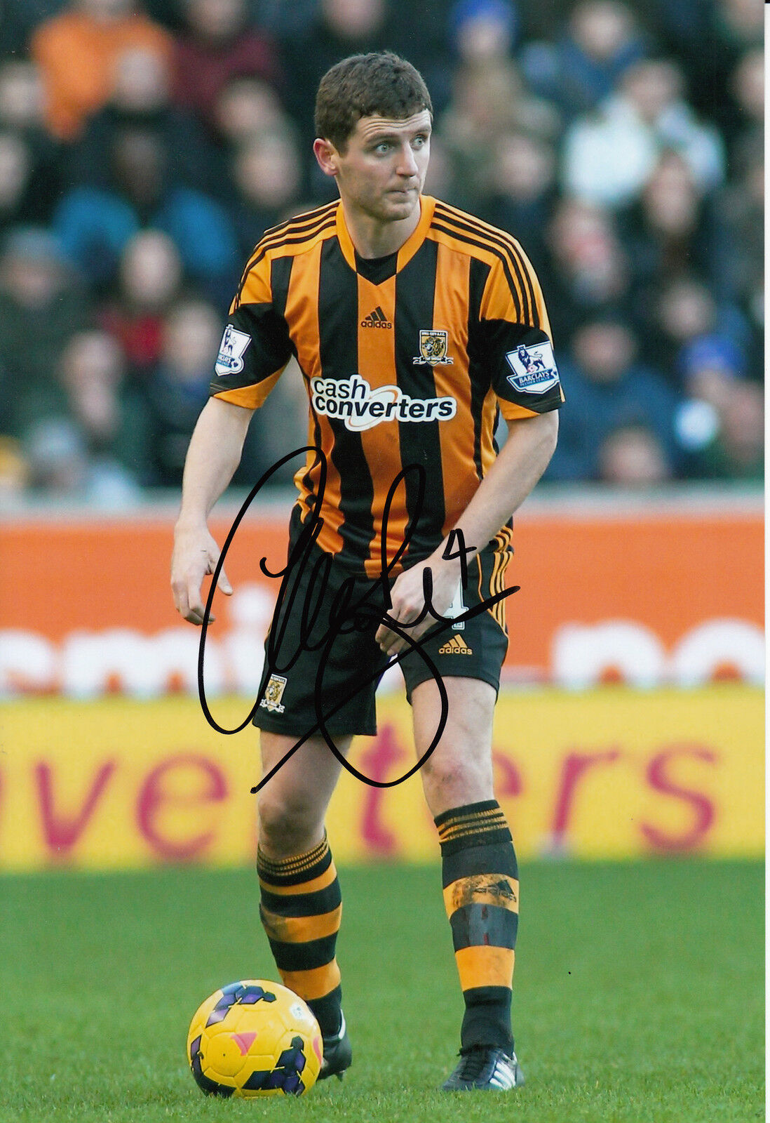 Hull City Hand Signed Alex Bruce 12x8 Photo Poster painting.