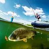 Sinking Wobblers Fishing Lures 10cm 16g Multi Jointed Swimbait Artificial Bait