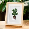 12pcs Plants DIY Mini Square Diamond Painting Set 14x18cm