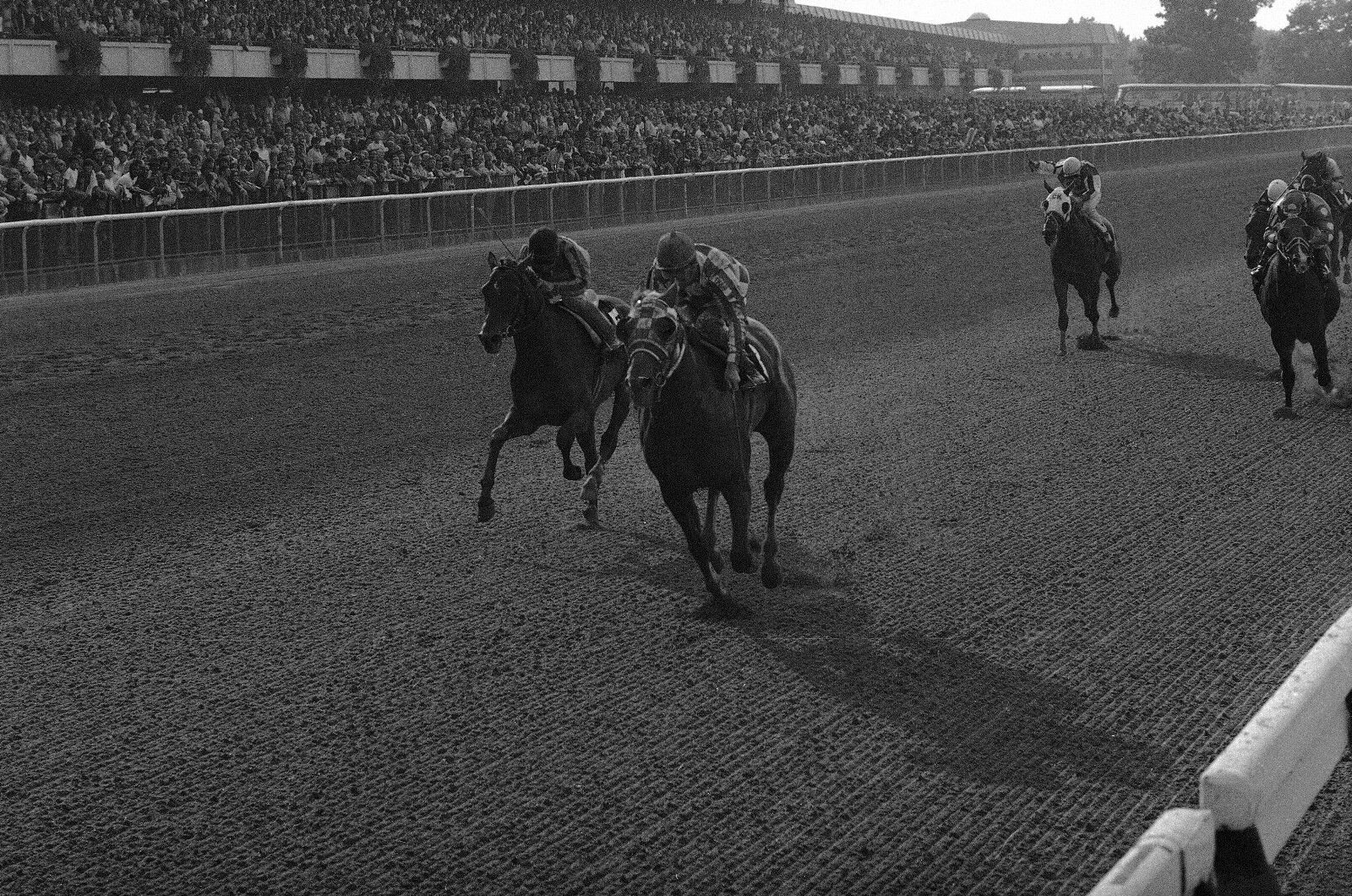 1973 Ron Turcotte SECRETARIAT Belmont Horse Racing 8x10 Photo Poster painting Laffit Pincay Jr