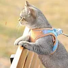 Cat Vest And Belt Kit Pet Traction Rope