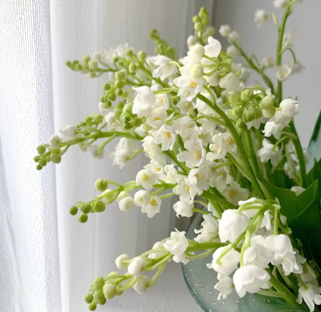 💐Lily of the Valley—Happiness Arrives
