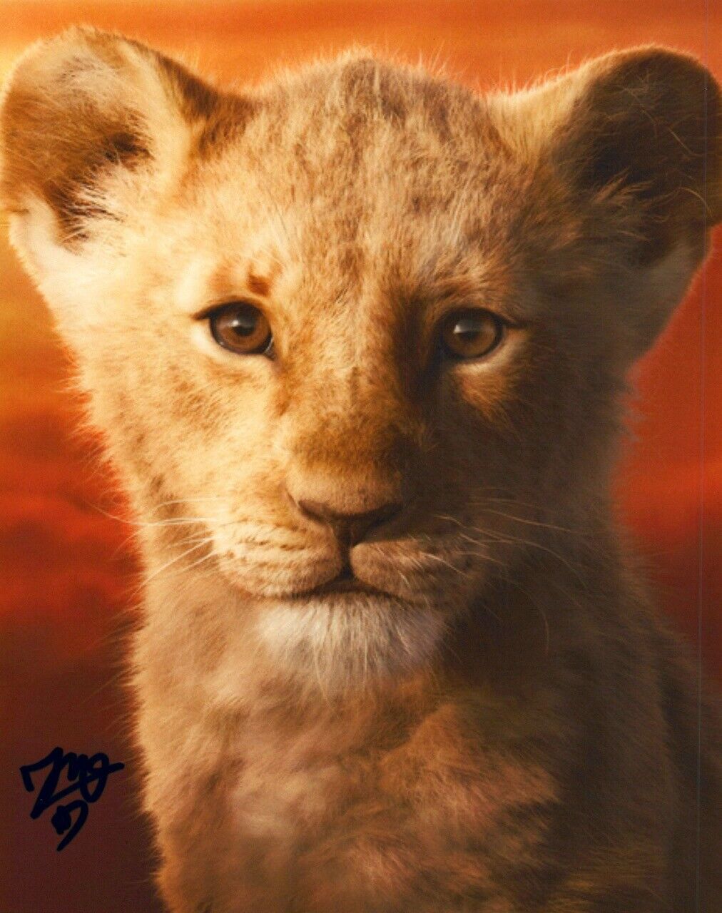 JD McCrary Signed Autographed 8x10 Photo Poster painting The Lion King 2019 Young Simba COA