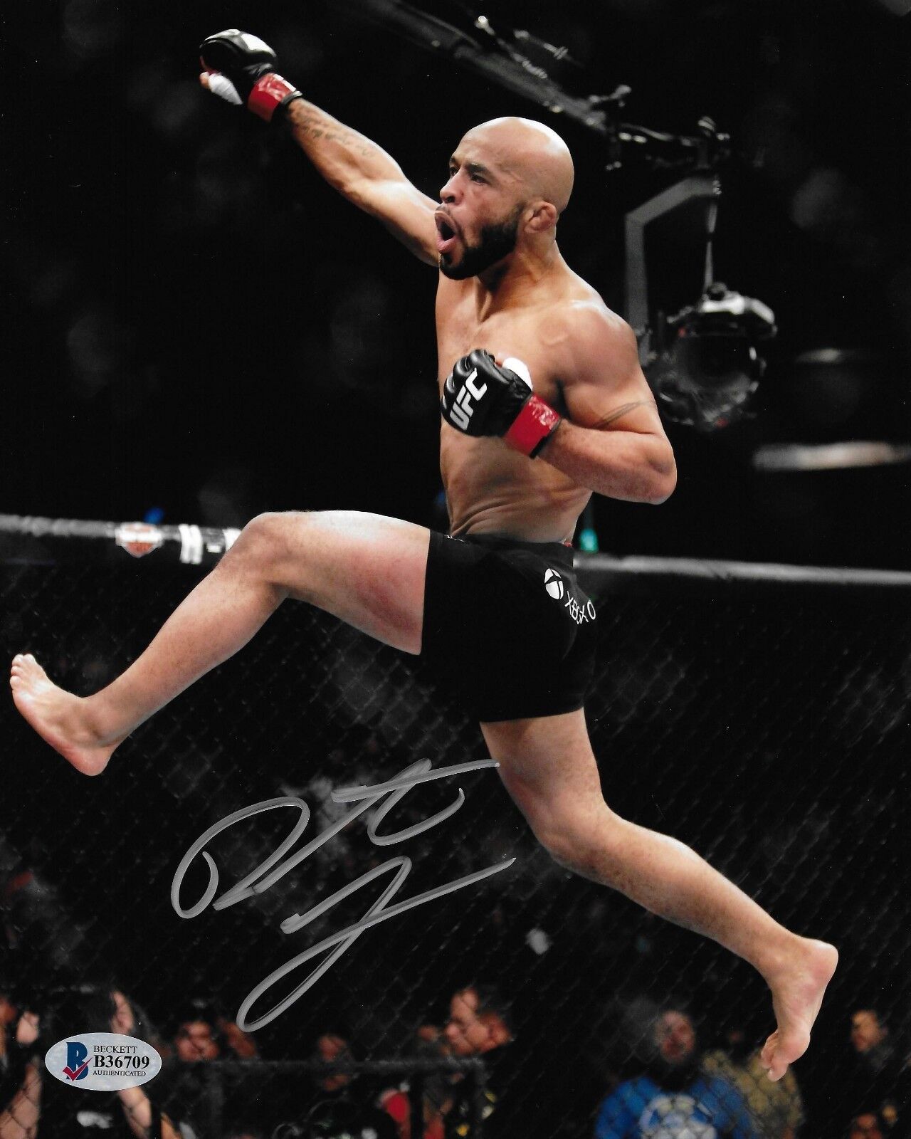 Demetrious Johnson Signed 8x10 Photo Poster painting BAS Beckett COA UFC WEC Picture Autograph P