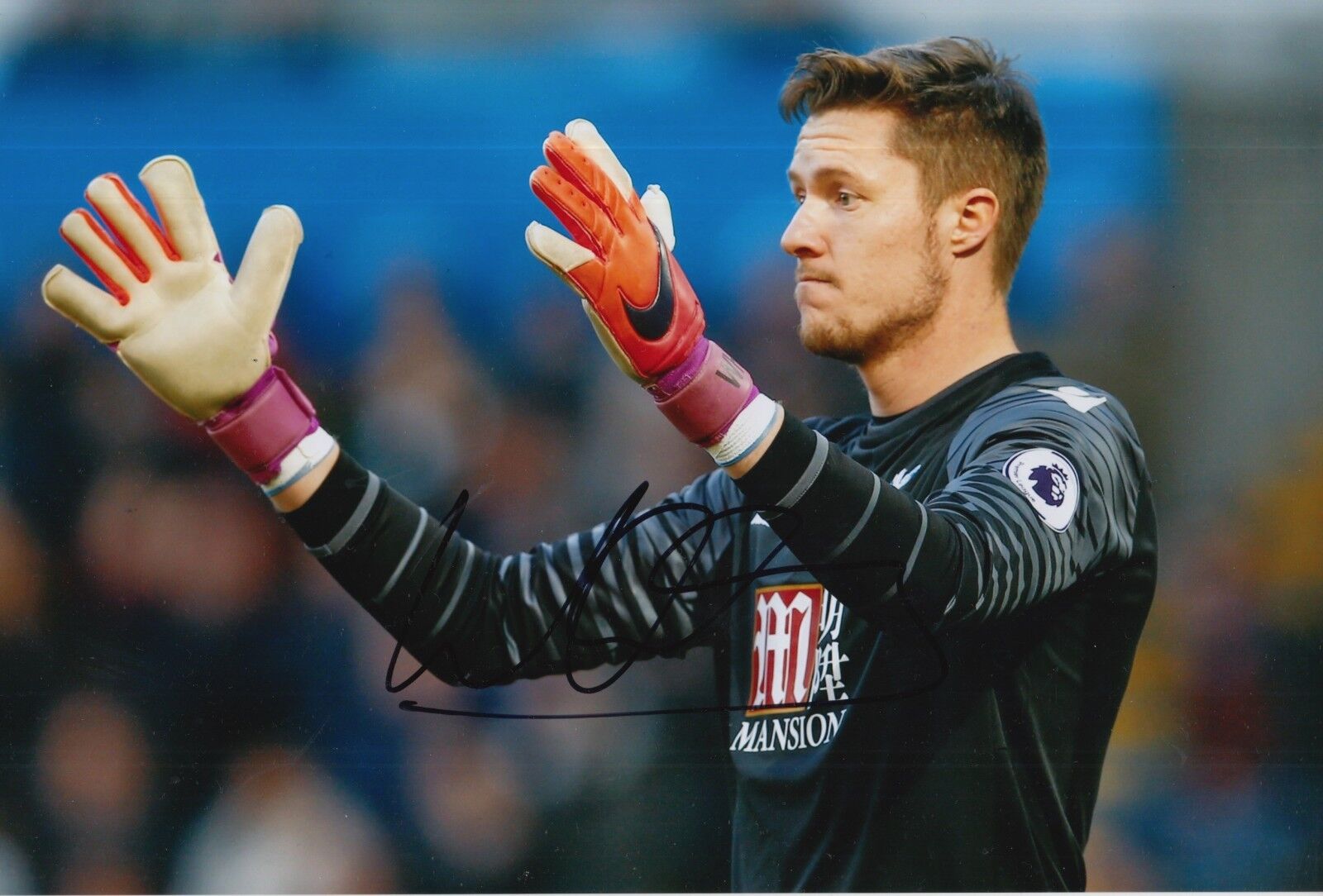 CRYSTAL PALACE HAND SIGNED WAYNE HENNESSEY 12X8 Photo Poster painting.