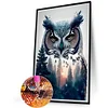 (40*60cm)Owl - Round AB Drill Diamond Painting
