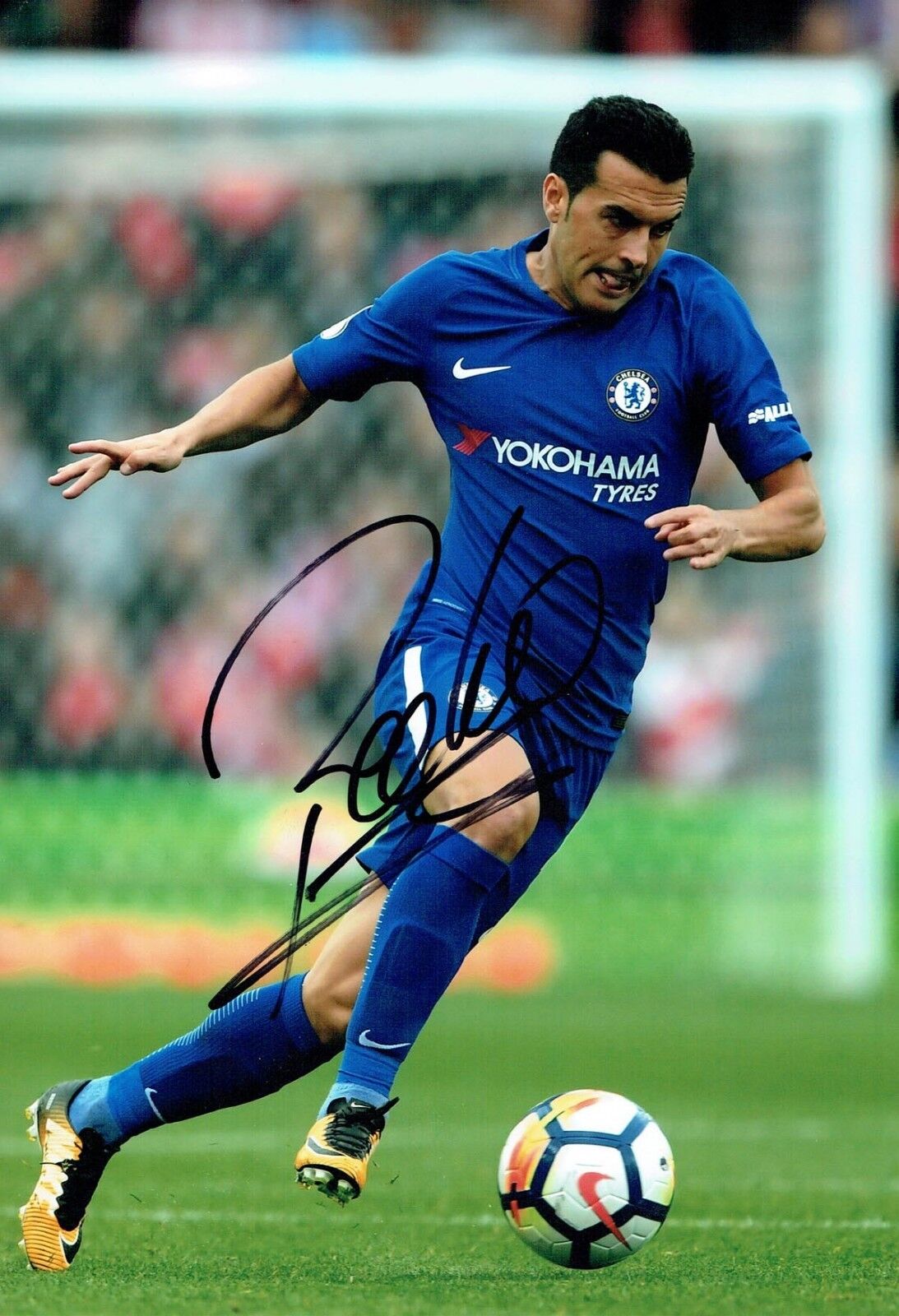 PEDRO 2018 Signed Autograph 12x8 Photo Poster painting 1 AFTAL COA Chelsea Premier League