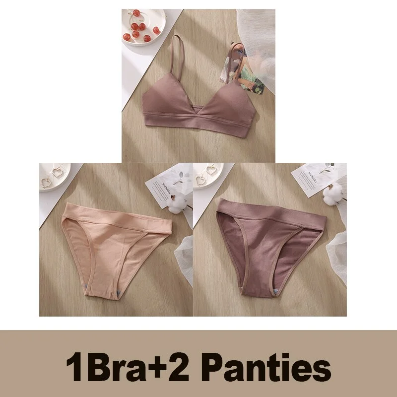 Bra Set Women's Underwear Push Up Bras Sexy Bralette Seamless Brassiere Gather Padded Female Wirefree Intimates Lingerie 2/3PCS