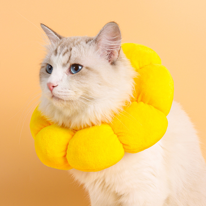Adjustable Soft Recovery Cat Collar After Surgery, Wound Healing