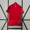 2024 Poland Away Football Shirt 1:1 Thai Quality