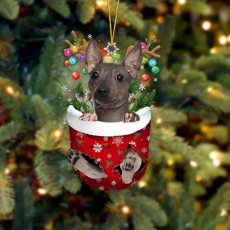American Hairless Terrier In Snow Pocket Christmas Ornament trabladzer