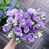 Last Day 50% Off 💐Eustoma Thornless Rose Lisanthus Seeds