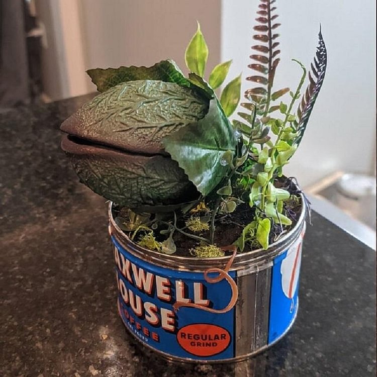 Baby Audrey II from "Little Shop Of Horrors"
