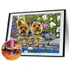 Diamond Painting-DIY Full Round Drill Flower Dogs