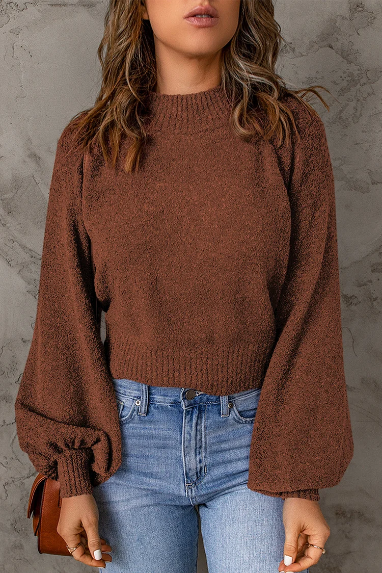 Women's Sweater Ribbed Trim Balloon Sleeve Sweater