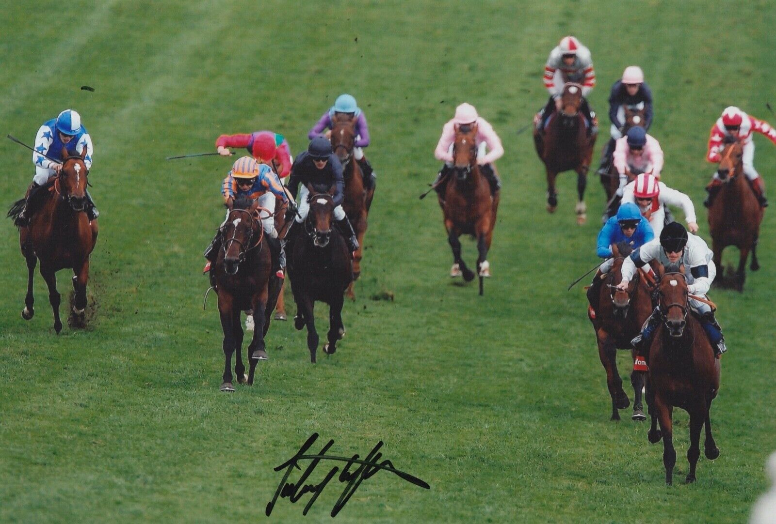 Johnny Murtagh Hand Signed 12x8 Photo Poster painting - Horse Racing Autograph 1.