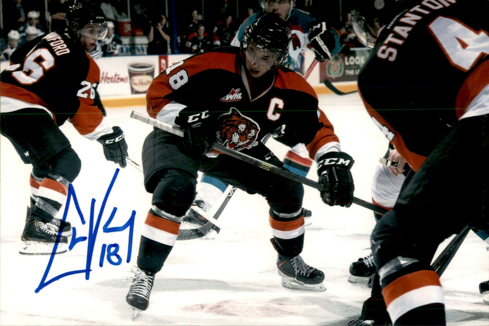 Curtis Valk SIGNED 4x6 Photo Poster painting MEDICINE HAT TIGERS / UTICA COMETS