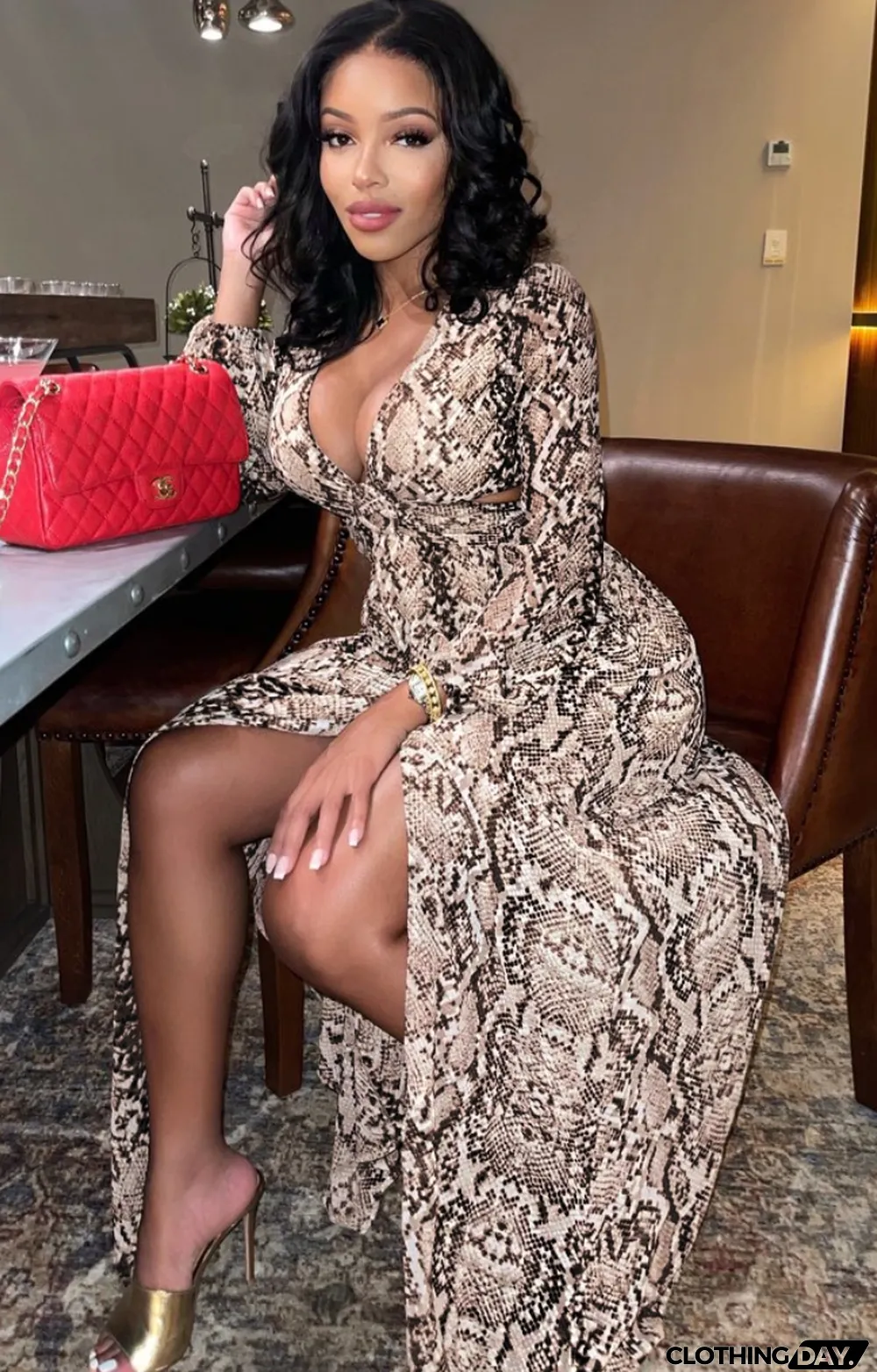 Autumn Formal Snake Skin V-Neck Long Sleeve Maxi Dress