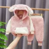 Baby Girl Winter Suit Ins Fleece 2 Pcs Sets