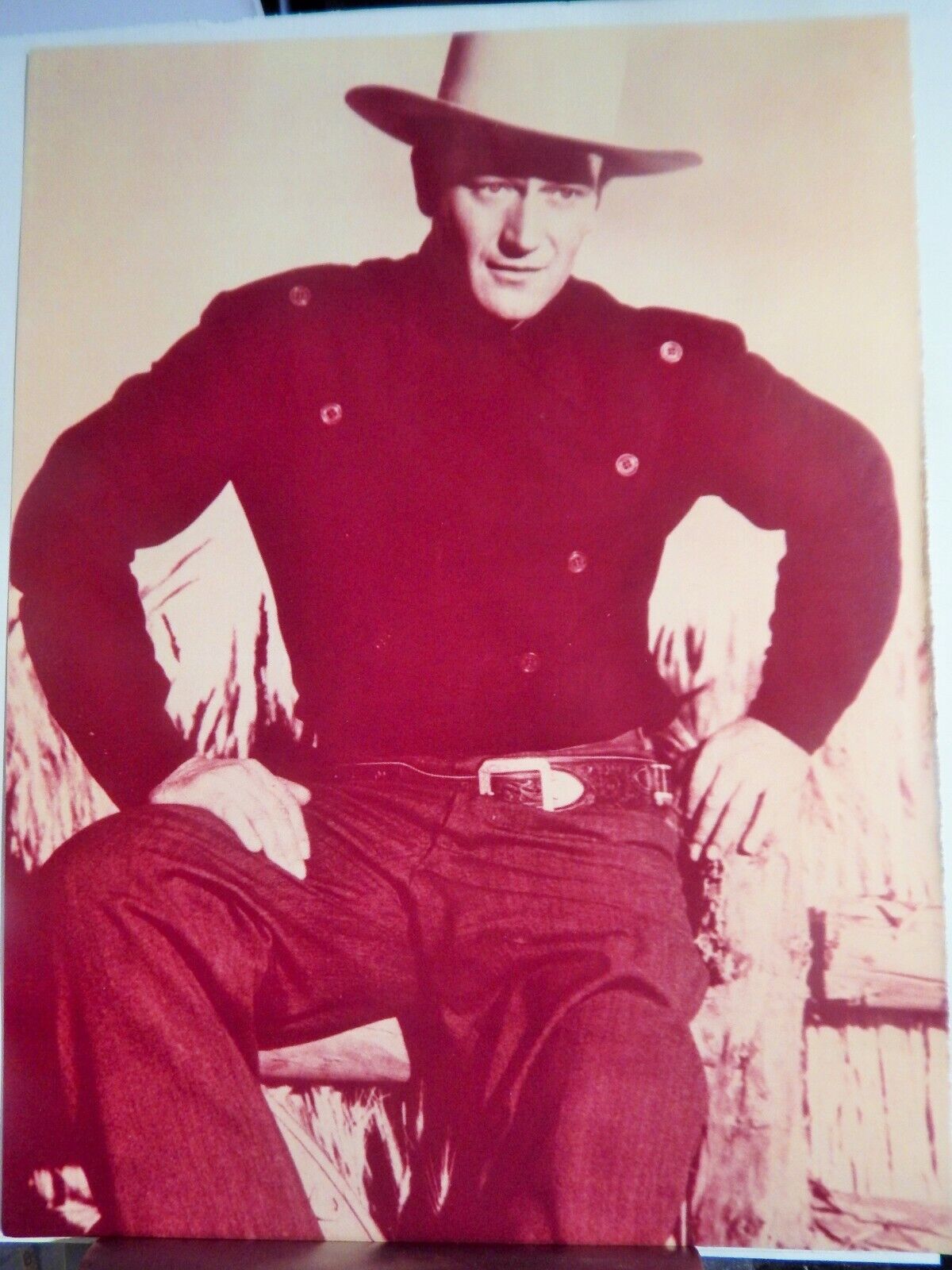 JOHN WAYNE WESTERN Photo Poster painting (VIDEO DEALER BROCHURE 1995)