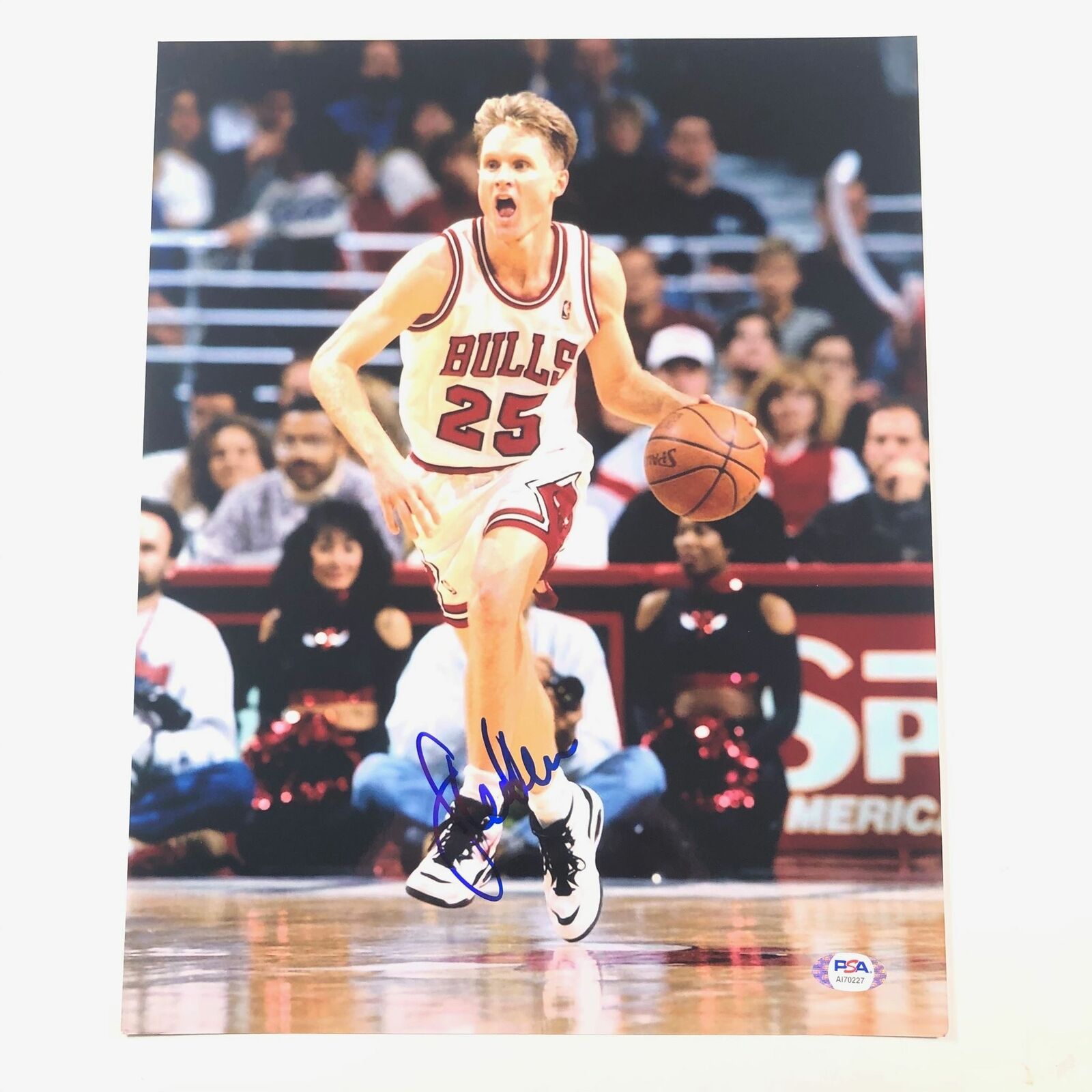 Steve Kerr signed 11x14 Photo Poster painting PSA/DNA Chicago Bulls Autographed