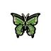 Green Magical Butterfly