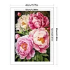 (Big Size)Peony - 11CT Stamped Cross Stitch - 40*60cm - Flower