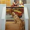 🔥HOT SALE 58% OFF - 💝Portable Kids & Pets Safety Door Guard