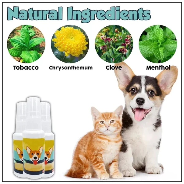 Pet Toilet Training Aid