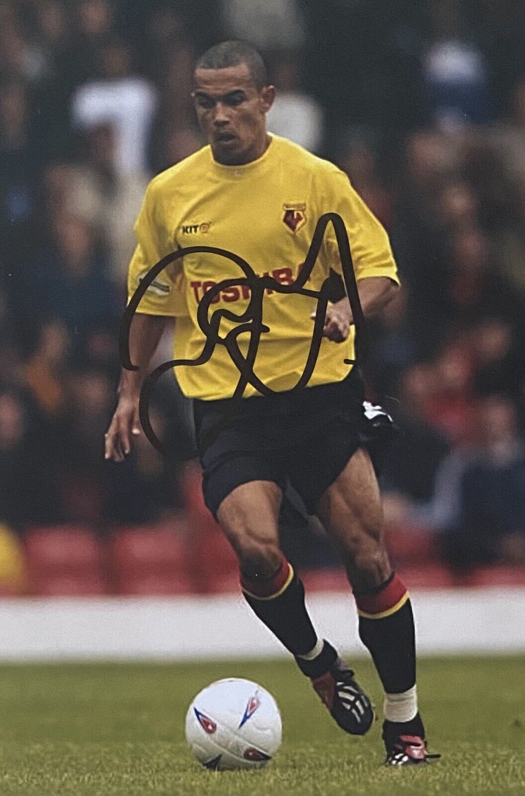 Danny Webber Genuine Hand Signed Watford 6X4 Photo Poster painting 2