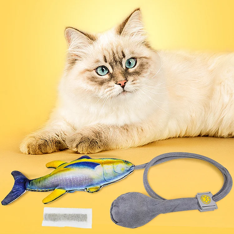 2 in 1 Dancing Fish Teaser Interactive Cat Toy 2