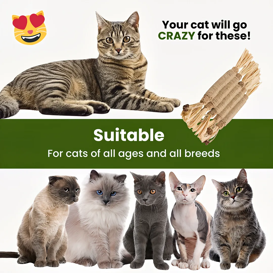 Purriq Natural Silvervine Dental Sticks
