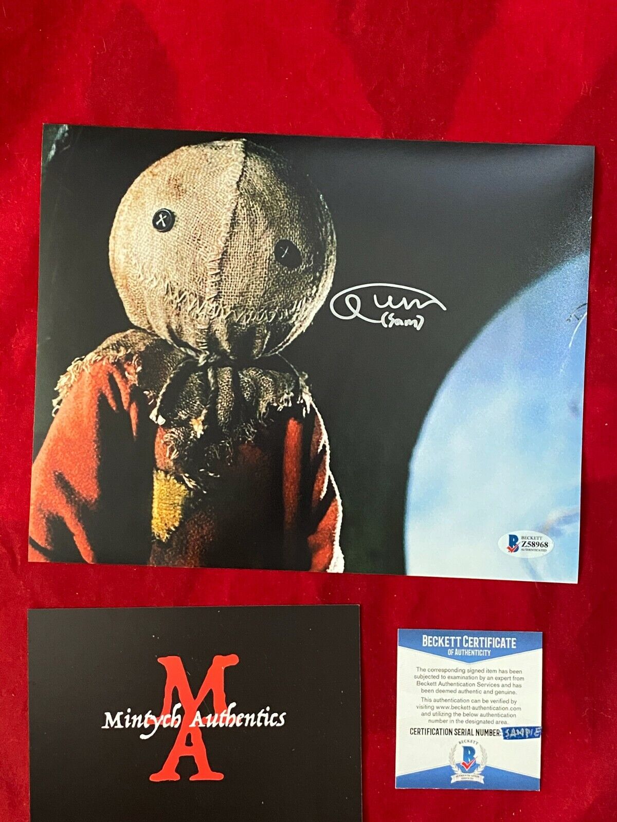 QUINN LORD TRICK 'R TREAT AUTOGRAPHED SIGNED 8x10 Photo Poster painting! BECKETT! HORROR! SAM!