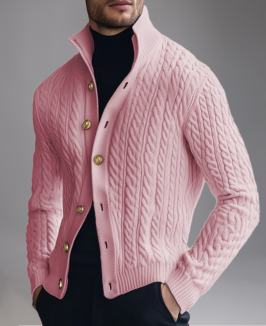 Casual Stand Collar Cable Knit Single Breasted Long Sleeve Sweater