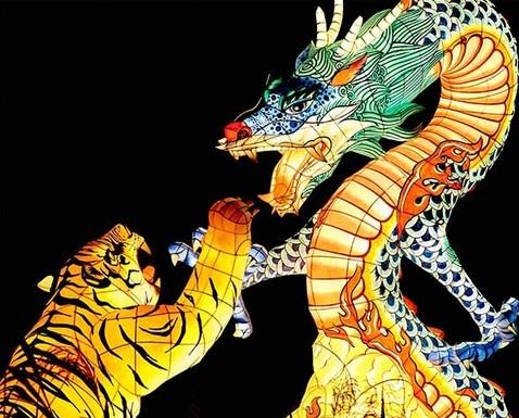 

Crouching Tiger Dragon – Paint By Numbers - 40*50CM, 501 Original