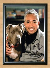 Cesar Millan Dog Whisperer Signed Autographed Photo Poster painting Poster Print Memorabilia A2 Size 16.5x23.4