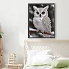 Pearl Owl on Branch-Special Shaped Diamond Painting