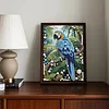 Diamond Painting-DIY Special Shaped Drill Pearl Painting Parrot(30x40cm)