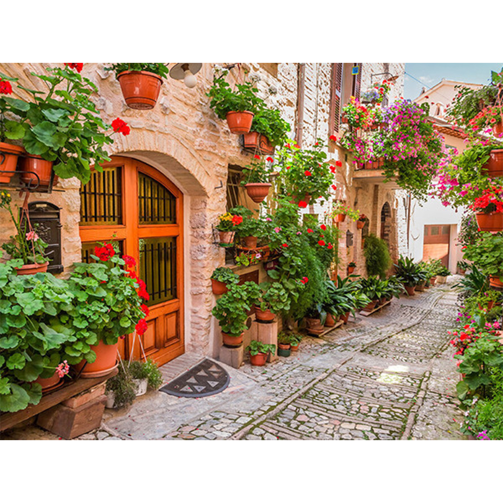 

50*40CM - Square Drill Diamond Painting - Flower Pot On Street, 501 Original