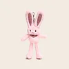 Plushie Bunny Keychain Bag Charm Long Ears Long Legs Girls Gift Idea