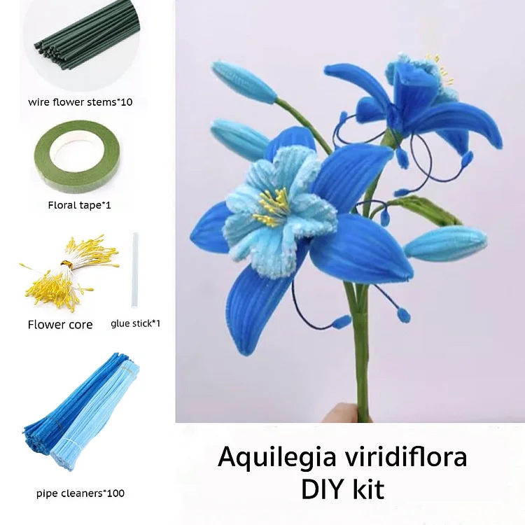 DIY Pipe Cleaners Kit - Aquilegia Viridiflora