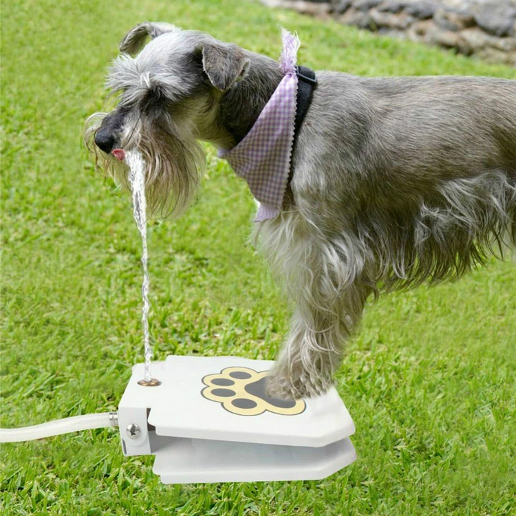 Step-Activated Dog Fountain