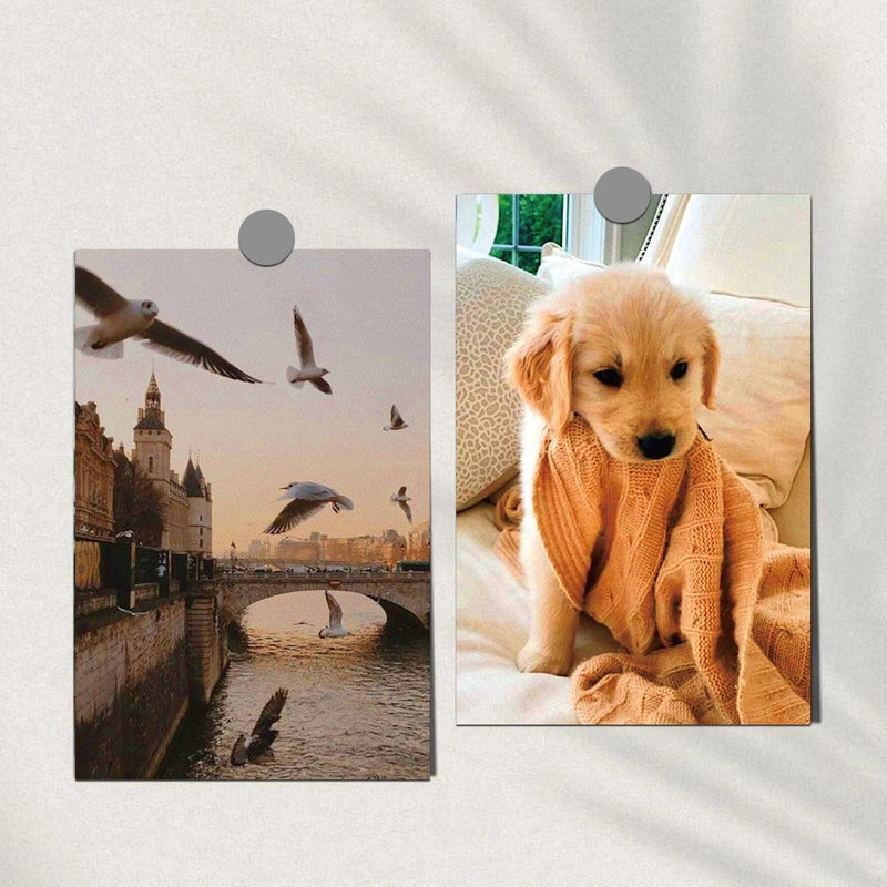 Japanese Style Romantic Letter Dog Flower Paper Card Daily Selfie Card Party Supplies Invitations A Set Of 20 Sheets