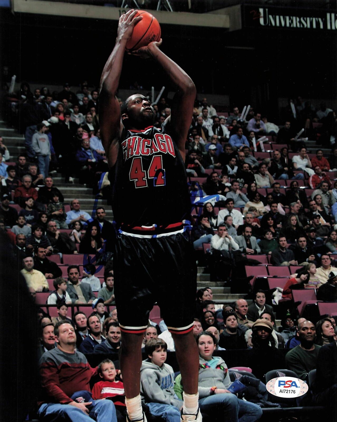 Adrian Griffin signed 8x10 Photo Poster painting PSA/DNA Chicago Bulls Autographed