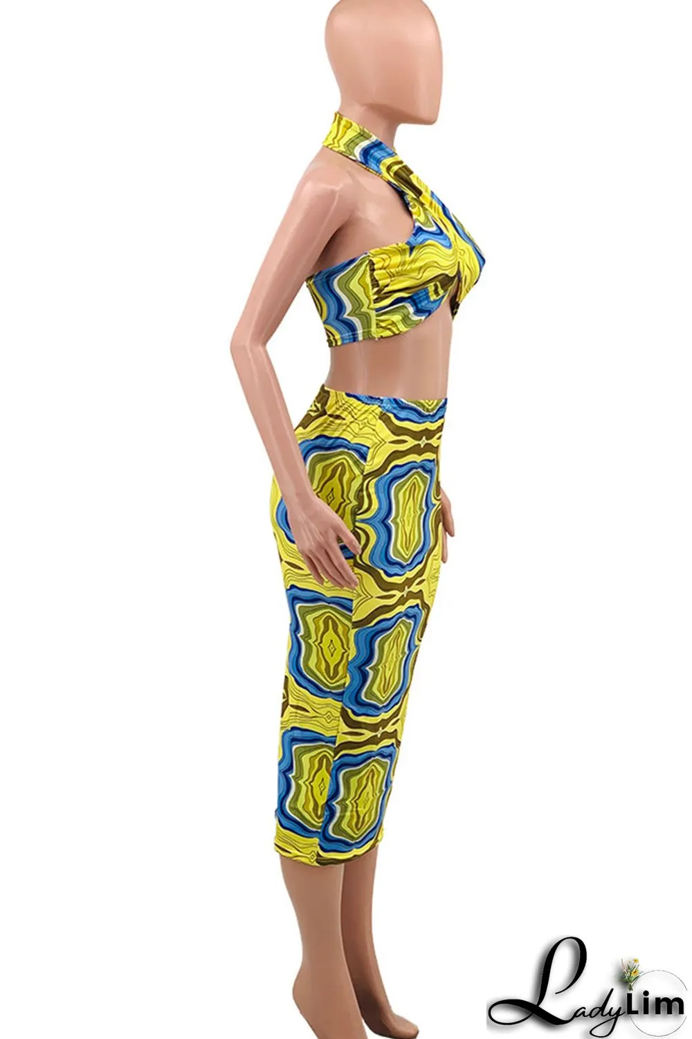 Royal Blue Sexy Print Patchwork Halter Plus Size Two Pieces