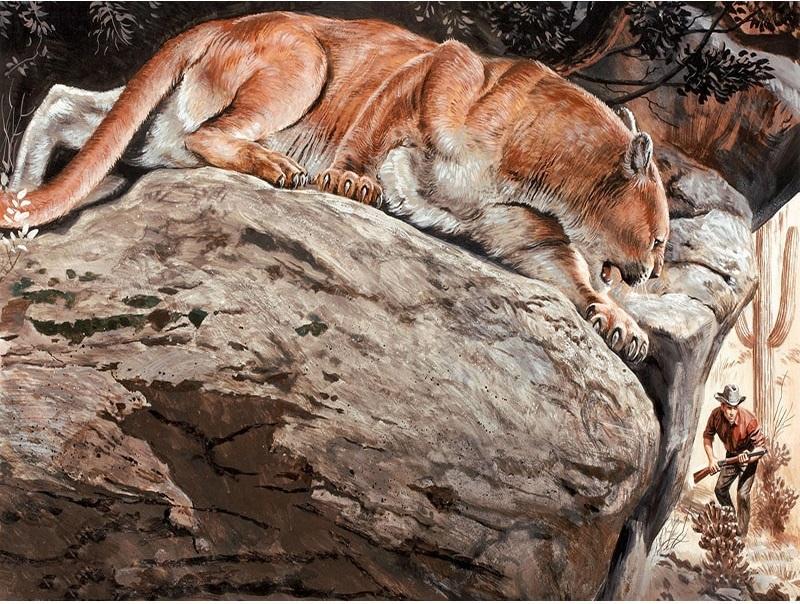 

Puma – Paint By Numbers - 40*50CM, 501 Original
